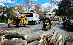 Chetek, WI Tree Services Company